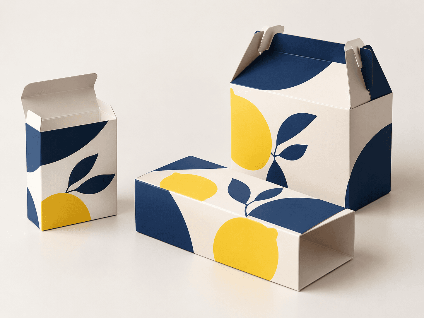Caja de embalaje personalizada impresa que muestra los paneles de la marca y su estructura